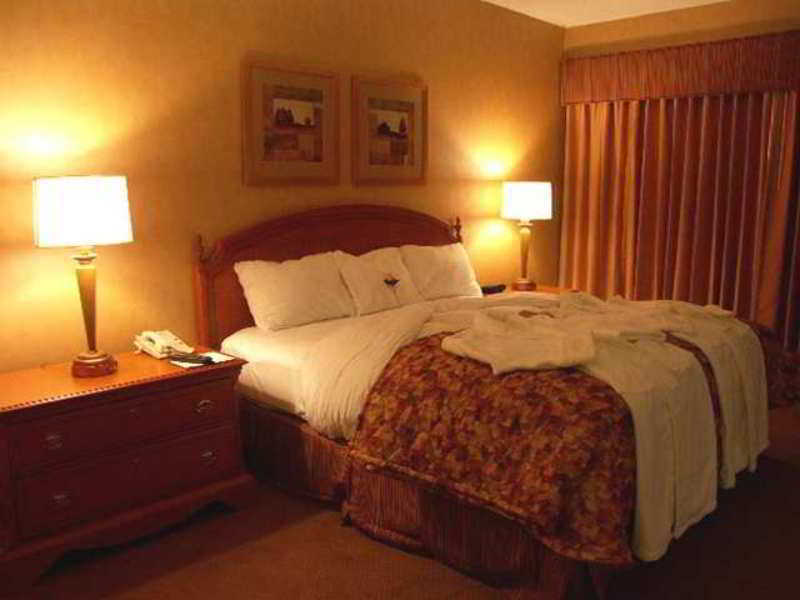 Hotel Embassy By Hilton Detroit Metro Airport 3*